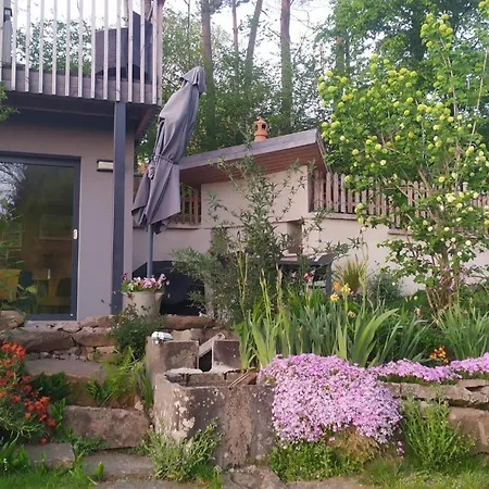 Domek alpejski Le Charme D'argent Charmois-devant-Bruyeres