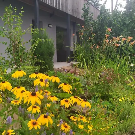 Domek alpejski Le Charme D'argent Charmois-devant-Bruyeres