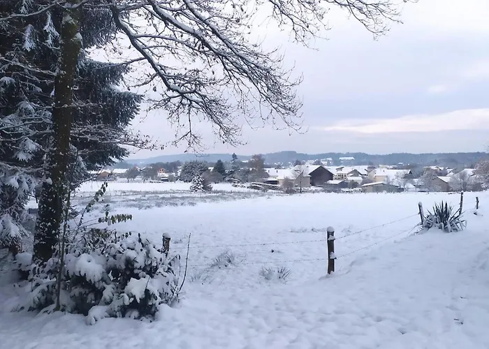 Le Charme D'argent * Charmois-devant-Bruyeres
